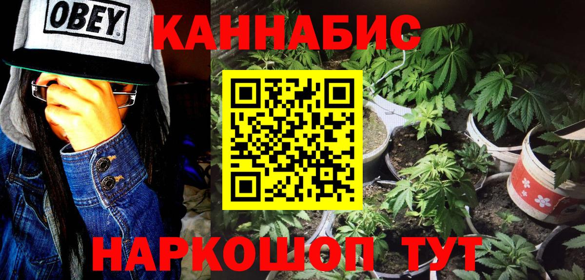 Бошки марихуана планчик  Бошки марихуана AK-47  Вход с VPN  Марихуана Bruce Banner  Конопля Amnesia  Вичуга 